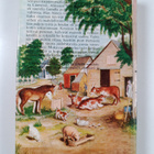 Laura Ingalls Wilder : Farmarin lapset - pikkukuva 2