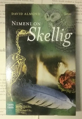David Almond - Nimeni on Skellig (pokkari)