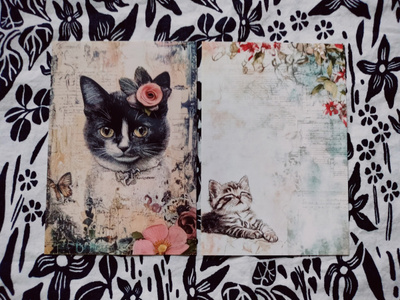 ~Kissa kortti~ 2kpl