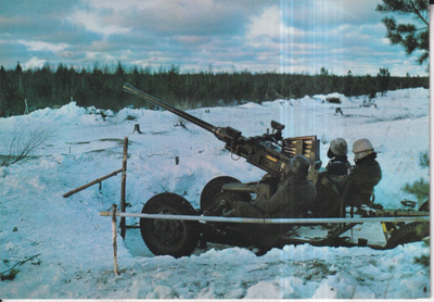 Lohtaja, Ilmatorjuntatykki tulitoiminnassa, e219