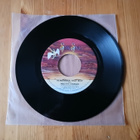 Pretty Things – Remember That Boy 7" orig 1975 Pop Rock - pikkukuva 1