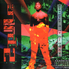 ** 2PAC : Strictly for my niggaz ** CD - pikkukuva 1