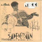 MC NIKKE T. :: JOS SADEMETSÄÄN MENNÄ NYT : VINYYLI 12" 1991 - pikkukuva 1