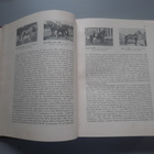 Suomalaisia kantakirjaoriita, Kivi 1946 - pikkukuva 3