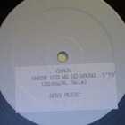 CARON :: WHERE DID WE GO WRONG :: VINYYLI RARE-PROMO-TEST12" - pikkukuva 1