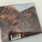 Lissie . Catching a tiger CD - pikkukuva 2