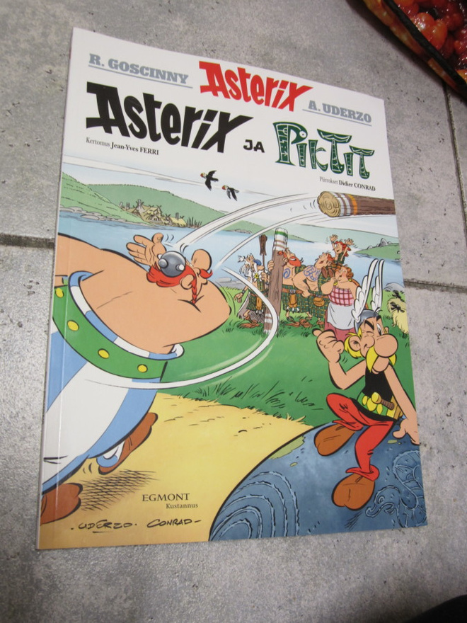 Jean-Yves Ferri : Asterix ja piktit : hyväkuntoinen )