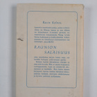 Racin Kolnes : Raunioiden salaisuus - pikkukuva 2