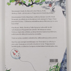 Meri Savonen : Peippometsän bändikilpailu - pikkukuva 2