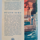 Harry Hjörne : Bultin suku : muuan göteborgilaistarina - pikkukuva 2