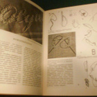 Kodin neuvokki 4 Kapiokirstu (2.p.1960) Sis.postikulut - pikkukuva 5