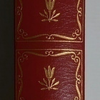 George Eliot - Mylly Joen Rannalla - pikkukuva 1