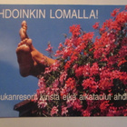 KULKEMATON VIHDOINKIN LOMALLA TAPANI ROMPPAINEN - pikkukuva 1
