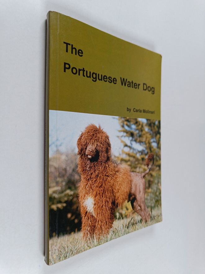 Carla Molinari : The portuguese water dog