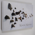 Kaija Kiuru : Kaija Kiuru - pikkukuva 1
