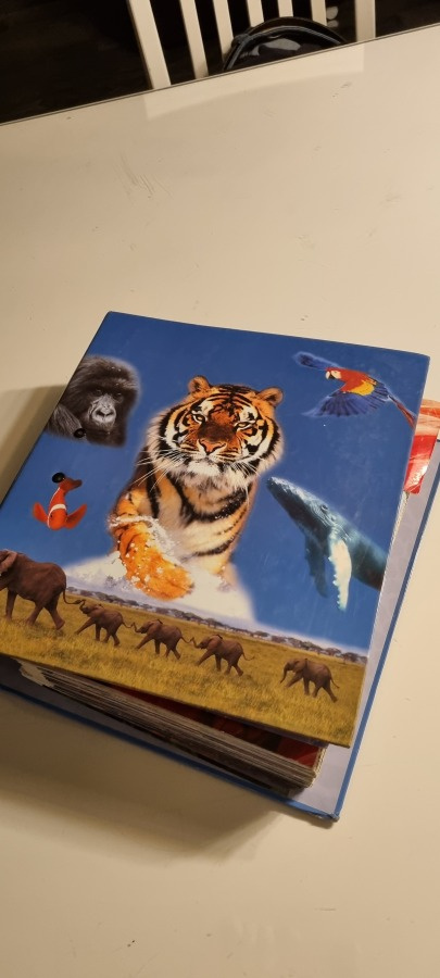 ISO Kansio Eläinten villi maailma