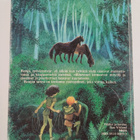 Astrid Lindgren : Ronja, ryövärintytär - pikkukuva 2