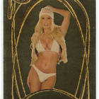 Bench Warmer 2007 Gold Edition #20 Lana Kinnear - pikkukuva 1