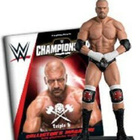 WWE TRIPLE H 1:16 SCALE RESIN FIGURINE (64 371) n.13cm, cham - pikkukuva 2