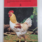 Ensimmäinen eläinkirjani - pikkukuva 2