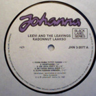 LEEVI AND THE LEAVINGS :: KADONNUT LAAKSO :: VINYYLI LP 1989 - pikkukuva 4