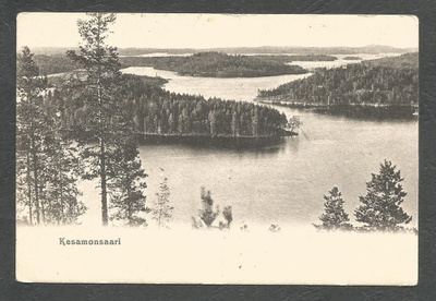 KESAMONSAARI - 1907 -