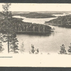 KESAMONSAARI - 1907 - - pikkukuva 1