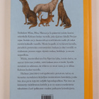 Per Olov Enquist : Kolmen luolan vuori - pikkukuva 2