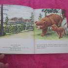 TKK 110 Nalle Nokikämmen ( 2 p. 1976 hienokuntoinen !! - pikkukuva 3
