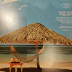Cat Stevens: Foreigner (LP) - pikkukuva 2