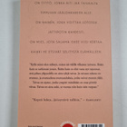 Selja Ahava : Taivaalta tippuvat asiat - pikkukuva 2