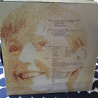 Julie Covington Virgin Uk lp 1978 Richard Thompson John Cale - pikkukuva 3