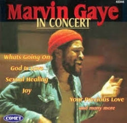 Marvin Gaye - In Concert (CD)