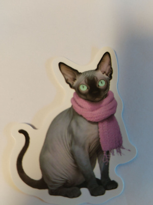 Kissa tarra.