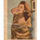 Purkkakuva PA. n:o 246 SOPHIA LOREN - pikkukuva 1