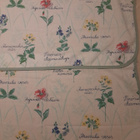 Verhokappa : kukka kappa 53x114cm x2kpl - pikkukuva 2