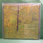 TASAVALLAN PRESIDENTTI - MILKY WAY MOSES M-/EX+ LP - pikkukuva 2