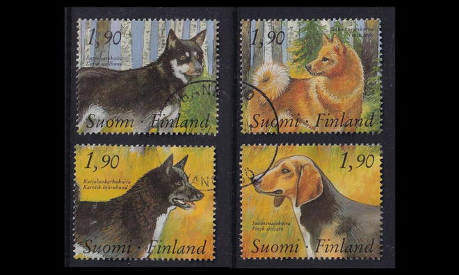 1075-8 o Kenneltoiminta (1989)