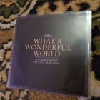 Booker T. Jones with Jolie Holland: What a Wonderful World - pikkukuva 1