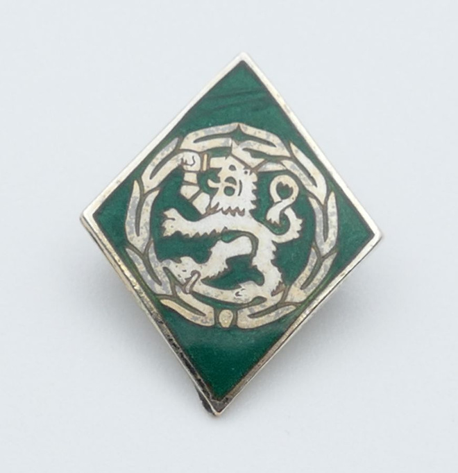 Kansallinen kokoomus ansiomerkki III lk.