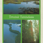 Postikortteja: Tammela - pikkukuva 2