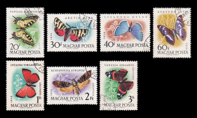 Unkari 1633-9 o Perhosia (1959)