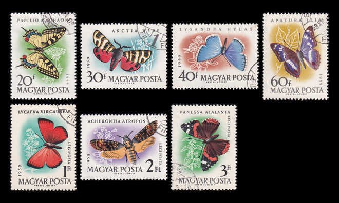 Unkari 1633-9 o Perhosia (1959)