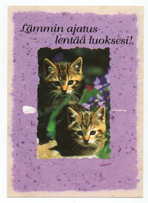 Postikortti Kissa. Pennut.