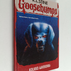 R. L Stine : Kolkko aavekoira - pikkukuva 1