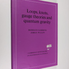 Rodolfo Gambini ym. : Loops, Knots, Gauge Theories, and Q... - pikkukuva 1
