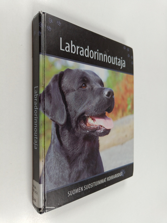 Labradorinnoutaja