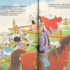 Walt Disney Satulukemisto n:o 88 Hessu ja kultatähti. - pikkukuva 3