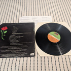 Tim Rose - The Musician (K 50183) - pikkukuva 2
