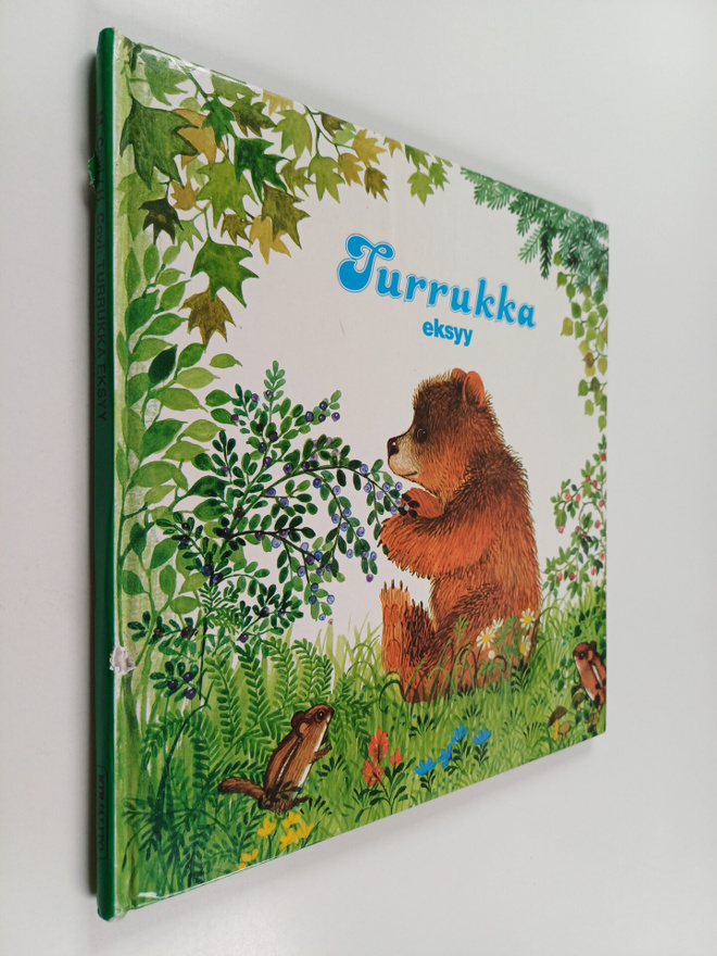 Mario Covi : Turrukka eksyy